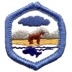 Adventure Corps Rangers Badges - "DHQ ONLY"
