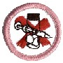 Girl Guards Badges - DHQ ONLY