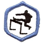Adventure Corps Rangers Badges - "DHQ ONLY"