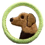 Girl Guards Badges - DHQ ONLY