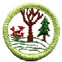 Girl Guards Badges - DHQ ONLY