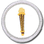 Sunbeam Badges - "DHQ ONLY"