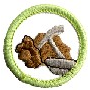 Girl Guards Badges - DHQ ONLY