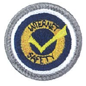 Girl Guards Badges - DHQ ONLY