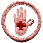 Girl Guards Badges - DHQ ONLY