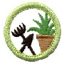 Girl Guards Badges - DHQ ONLY