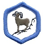 Adventure Corps Rangers Badges - "DHQ ONLY"