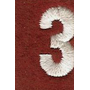 Girl Guards Badges - DHQ ONLY