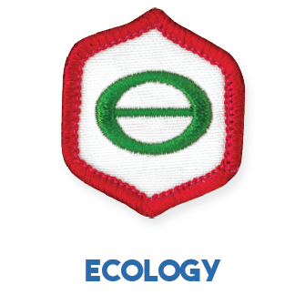 Adventure Corps Explorers Badges - "DHQ ONLY"
