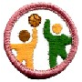 Girl Guards Badges - DHQ ONLY