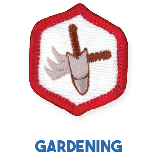 Adventure Corps Explorers Badges - "DHQ ONLY"
