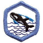 Adventure Corps Rangers Badges - "DHQ ONLY"