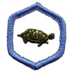 Adventure Corps Rangers Badges - "DHQ ONLY"