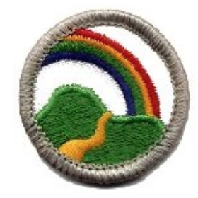 Girl Guards Badges - DHQ ONLY