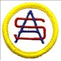 Sunbeam Badges - "DHQ ONLY"