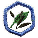 Adventure Corps Rangers Badges - "DHQ ONLY"