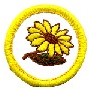 Sunbeam Badges - "DHQ ONLY"