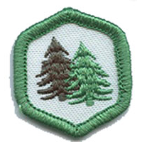 Adventure Corps Rangers Badges - "DHQ ONLY"