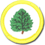 Sunbeam Badges - "DHQ ONLY"