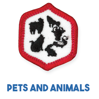 Adventure Corps Explorers Badges - "DHQ ONLY"