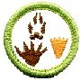 Girl Guards Badges - DHQ ONLY