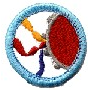 Girl Guards Badges - DHQ ONLY