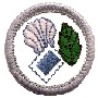 Sunbeam Badges - "DHQ ONLY"