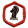 Adventure Corps Explorers Badges - "DHQ ONLY"
