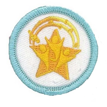 Girl Guards Badges - DHQ ONLY