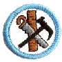 Girl Guards Badges - DHQ ONLY