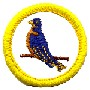 Sunbeam Badges - "DHQ ONLY"