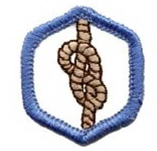 Adventure Corps Rangers Badges - "DHQ ONLY"