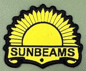 Troop logo patches